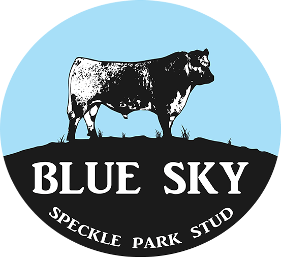 Blue Sky Speckle Park Stud